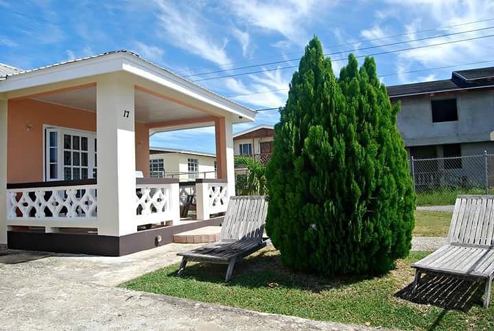 Sue'S Homestay Christ Church Dış mekan fotoğraf