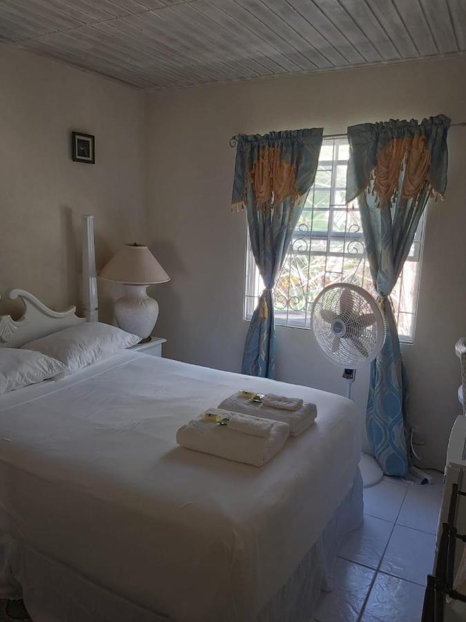 Sue'S Homestay Christ Church Dış mekan fotoğraf